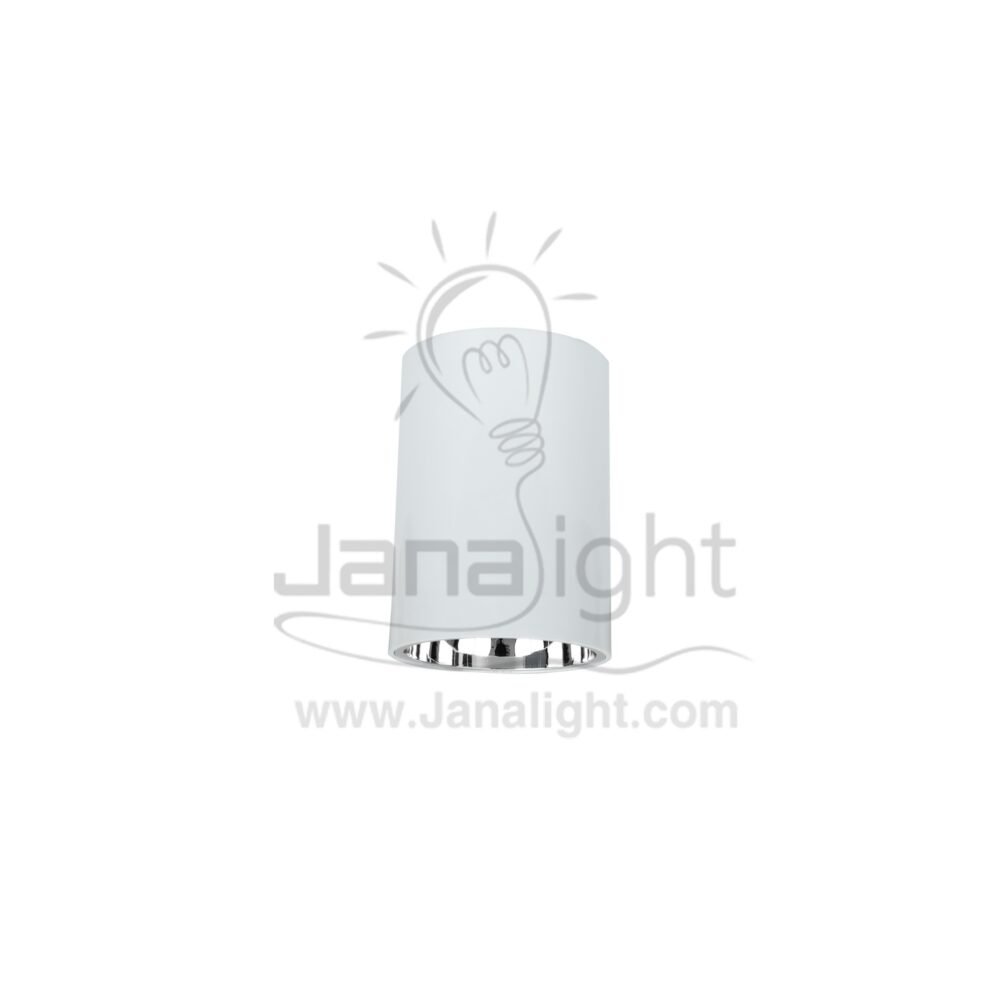 فريم سبوت سلندر فارغ مدور ابيض قلب فضي cylinder downlight frame plastic white-silver